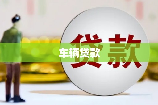 温宿车辆贷款