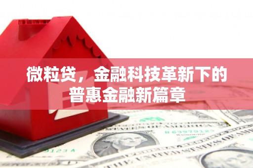 温宿微粒贷，金融科技革新下的普惠金融新篇章