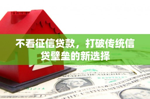 温宿不看征信贷款，打破传统信贷壁垒的新选择