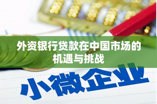 温宿外资银行贷款在中国市场的机遇与挑战