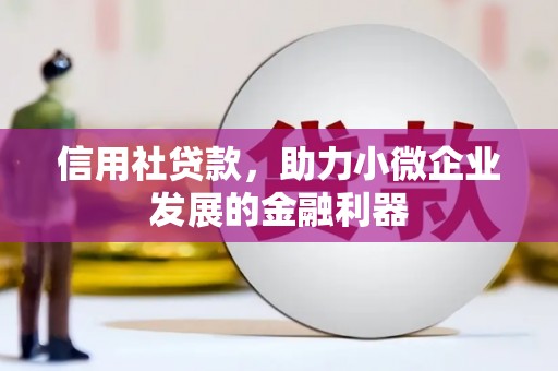 温宿信用社贷款，助力小微企业发展的金融利器