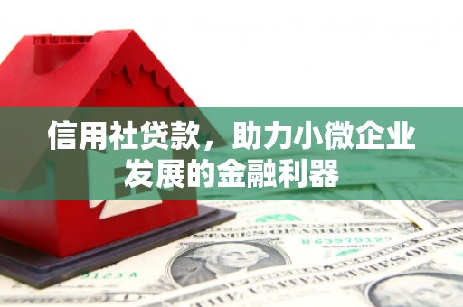 温宿信用社贷款，助力小微企业发展的金融利器