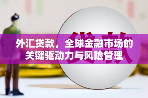 温宿外汇贷款，全球金融市场的关键驱动力与风险管理