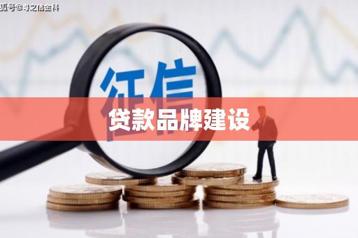 温宿贷款品牌建设