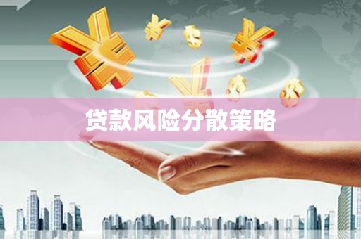 温宿贷款风险分散策略