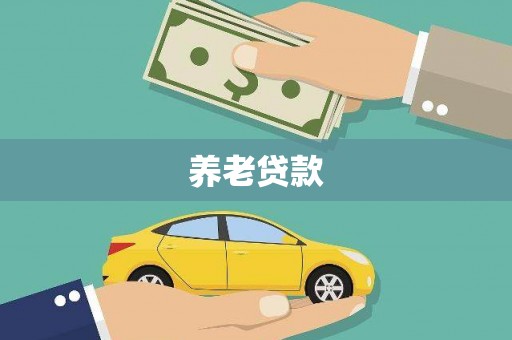 温宿养老贷款