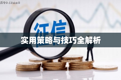 温宿实用策略与技巧全解析