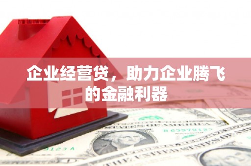 温宿企业经营贷，助力企业腾飞的金融利器