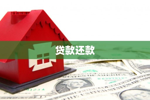 温宿贷款还款
