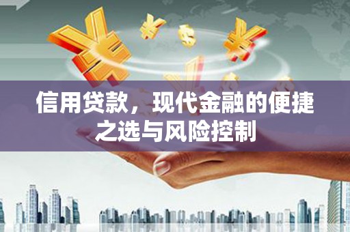 温宿信用贷款，现代金融的便捷之选与风险控制