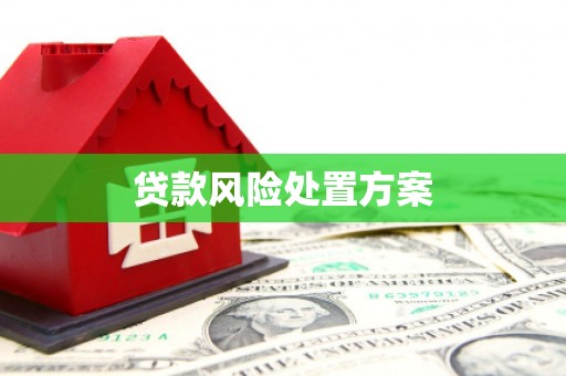温宿贷款风险处置方案