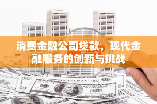 温宿消费金融公司贷款，现代金融服务的创新与挑战