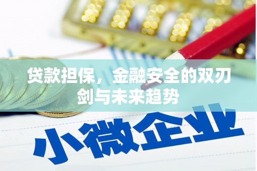 温宿贷款担保，金融安全的双刃剑与未来趋势