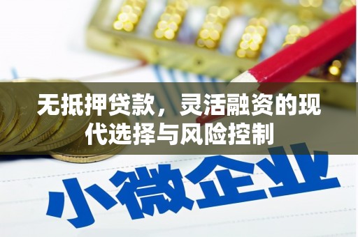 温宿无抵押贷款，灵活融资的现代选择与风险控制
