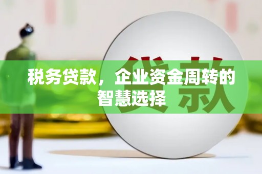 温宿税务贷款，企业资金周转的智慧选择