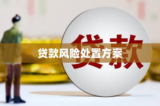 温宿贷款风险处置方案