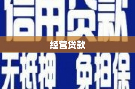 温宿经营贷款