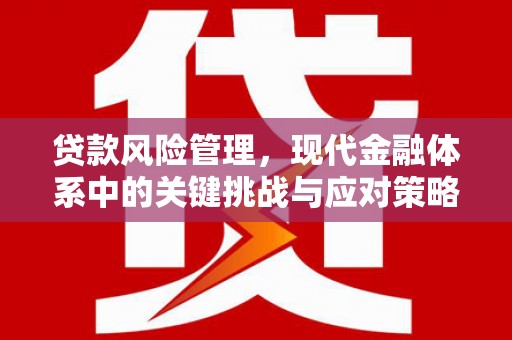 温宿贷款风险管理，现代金融体系中的关键挑战与应对策略