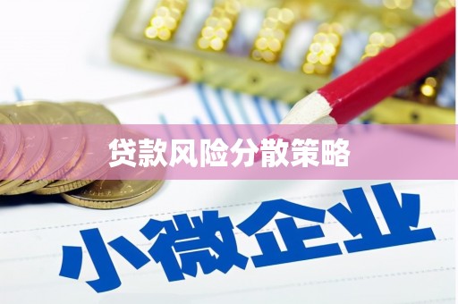 温宿贷款风险分散策略