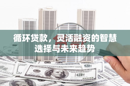 温宿循环贷款，灵活融资的智慧选择与未来趋势