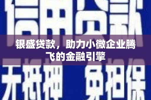 温宿银盛贷款，助力小微企业腾飞的金融引擎
