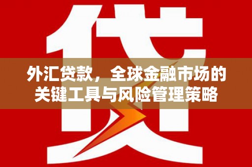 温宿外汇贷款，全球金融市场的关键工具与风险管理策略
