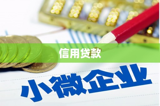 温宿信用贷款