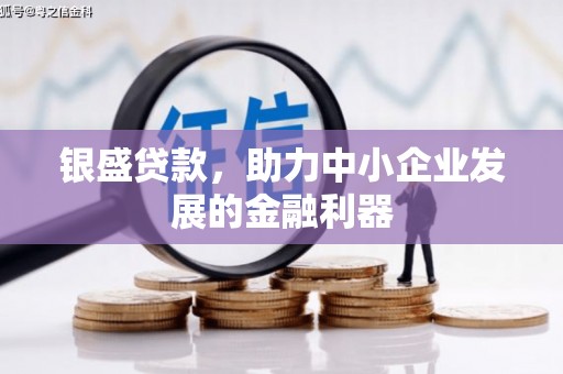 温宿银盛贷款，助力中小企业发展的金融利器