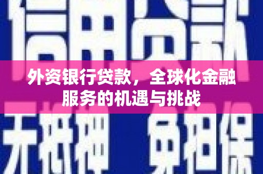温宿外资银行贷款，全球化金融服务的机遇与挑战