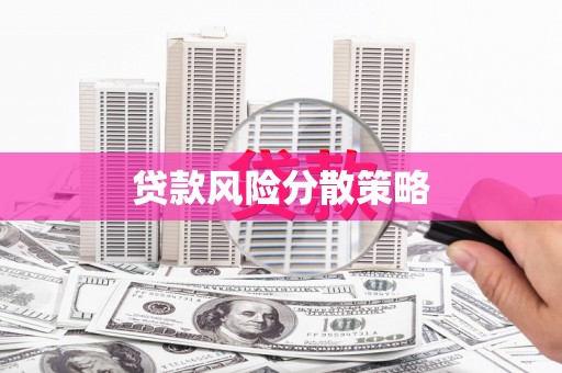 温宿贷款风险分散策略