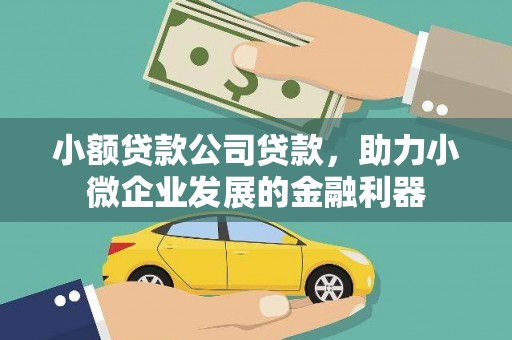 温宿小额贷款公司贷款，助力小微企业发展的金融利器