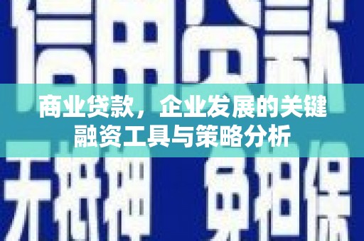 温宿商业贷款，企业发展的关键融资工具与策略分析