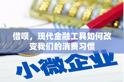 温宿借呗，现代金融工具如何改变我们的消费习惯