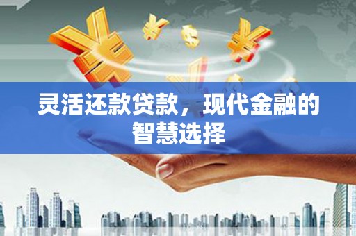 温宿灵活还款贷款，现代金融的智慧选择