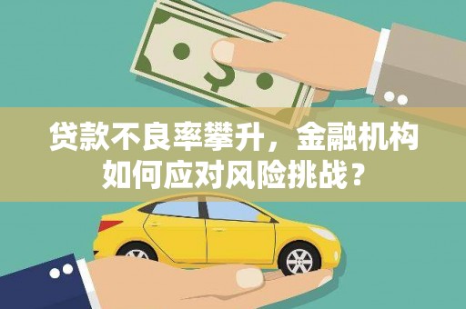温宿贷款不良率攀升，金融机构如何应对风险挑战？