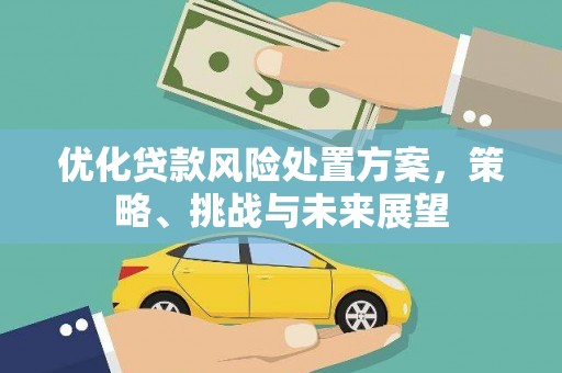 温宿优化贷款风险处置方案，策略、挑战与未来展望