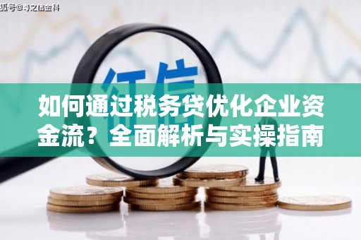 温宿如何通过税务贷优化企业资金流？全面解析与实操指南