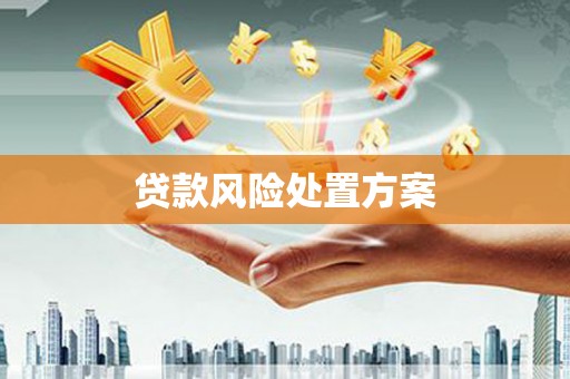 温宿贷款风险处置方案