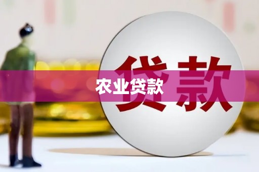 温宿农业贷款