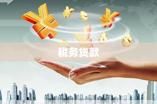 温宿税务贷款