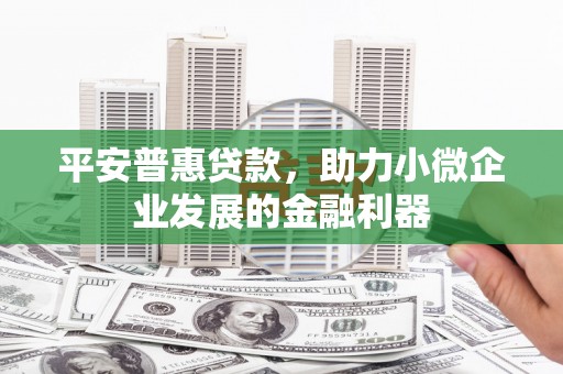 温宿平安普惠贷款，助力小微企业发展的金融利器