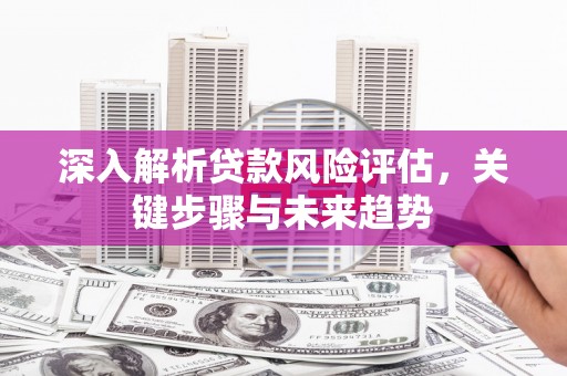 温宿深入解析贷款风险评估，关键步骤与未来趋势
