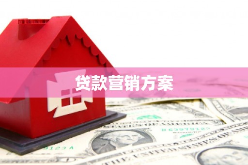 温宿贷款营销方案