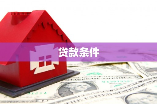温宿贷款条件