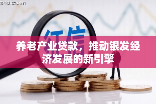 温宿养老产业贷款，推动银发经济发展的新引擎
