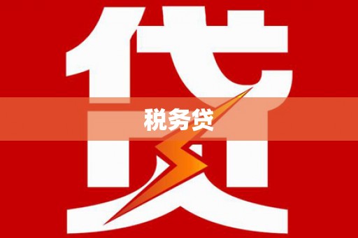 温宿税务贷