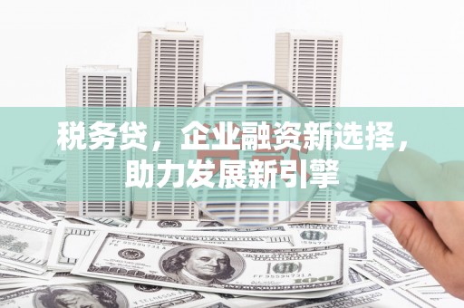 温宿税务贷，企业融资新选择，助力发展新引擎