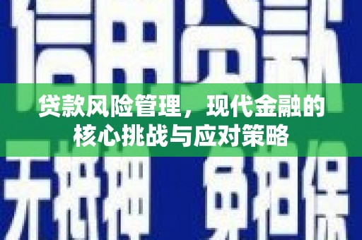 温宿贷款风险管理，现代金融的核心挑战与应对策略
