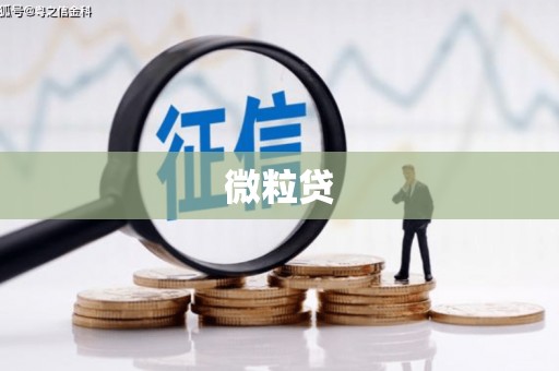 温宿微粒贷
