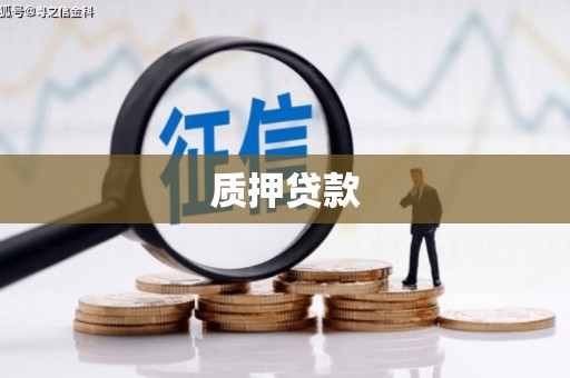 温宿质押贷款